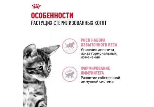 Royal Canin Kitten Sterilised / Влажный корм (Консервы-Паучи) Роял Канин Киттен Стерилайзд для Стерилизованных Котят в возрасте от 6 до 12 месяцев в Соусе (цена за упаковку)