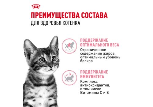 Royal Canin Kitten Sterilised / Влажный корм (Консервы-Паучи) Роял Канин Киттен Стерилайзд для Стерилизованных Котят в возрасте от 6 до 12 месяцев в Соусе (цена за упаковку)
