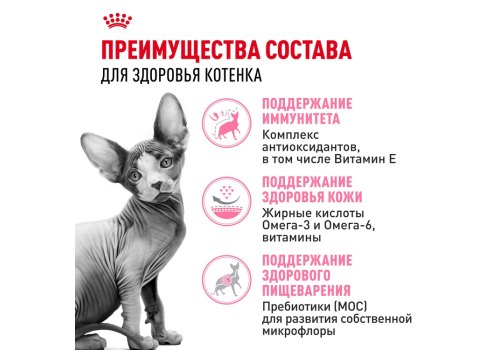 Royal Canin Breed cat Kitten Sphynx / Сухой корм Роял Канин для Котят породы Сфинкс в возрасте до 12 месяцев