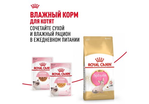 Royal Canin Breed cat Kitten Sphynx / Сухой корм Роял Канин для Котят породы Сфинкс в возрасте до 12 месяцев