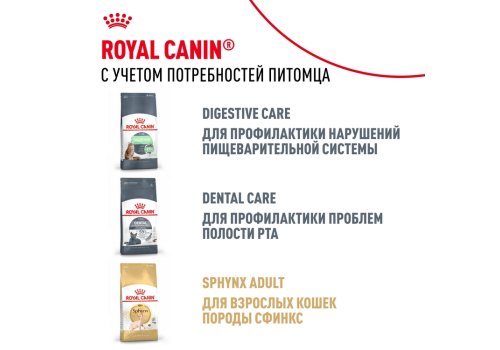 Royal Canin Breed cat Kitten Sphynx / Сухой корм Роял Канин для Котят породы Сфинкс в возрасте до 12 месяцев