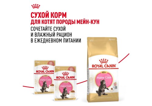 Royal Canin Breed Kitten Maine Coon / Влажный корм (Консервы-Паучи) Роял Канин для Котят породы Мэйн Кун в возрасте до 15 месяцев (цена за упаковку)