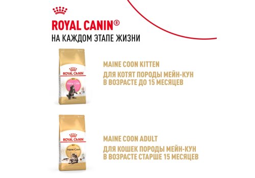 Royal Canin Breed Kitten Maine Coon / Влажный корм (Консервы-Паучи) Роял Канин для Котят породы Мэйн Кун в возрасте до 15 месяцев (цена за упаковку)