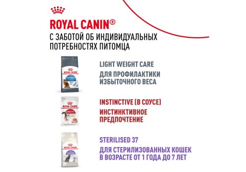 Royal Canin Indoor Jelly / Влажный корм (Консервы-Паучи) Роял Канин Индор для Стерилизованных кошек Живущих в помещении в Желе (цена за упаковку)