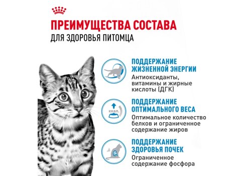 Royal Canin Indoor 7+ Sause / Влажный корм (Консервы-Паучи) Роял Канин Индор для Стерилизованных Пожилых кошек старше 7 лет Живущих в помещении в Соусе (цена за упаковку)