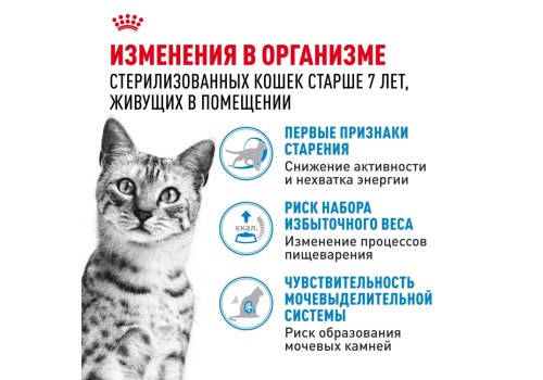 Royal Canin Indoor 7+ / Влажный корм (Консервы-Паучи) Роял Канин Индор для Стерилизованных Пожилых кошек старше 7 лет Живущих в помещении в Желе (цена за упаковку)