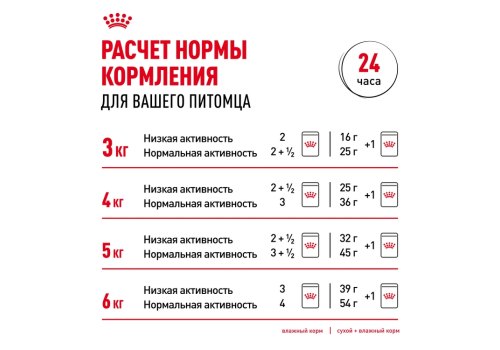 Royal Canin Indoor 7+ / Влажный корм (Консервы-Паучи) Роял Канин Индор для Стерилизованных Пожилых кошек старше 7 лет Живущих в помещении в Желе (цена за упаковку)
