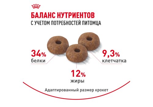 Royal Canin Appetite Control Care Feline / Сухой корм Роял Канин Аппетайт Контрол Кэа для взрослых Стерилизованных кошек Контроль аппетита