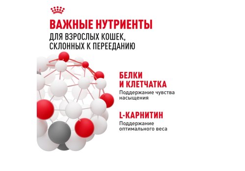 Royal Canin Appetite Control Care Feline / Сухой корм Роял Канин Аппетайт Контрол Кэа для взрослых Стерилизованных кошек Контроль аппетита