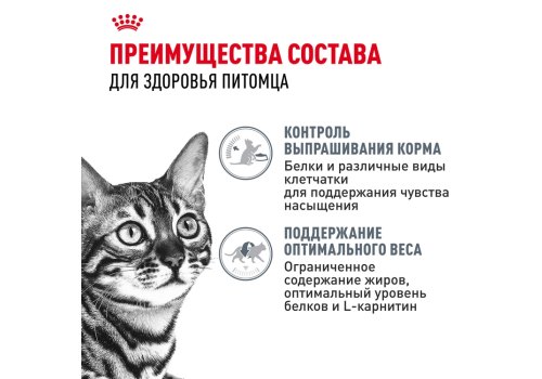 Royal Canin Appetite Control Care Sauce / Влажный корм (Консервы-Паучи) Роял Канин Аппетайт Контрол Кэа для взрослых кошек Контроль аппетита в Соусе (цена за упаковку)