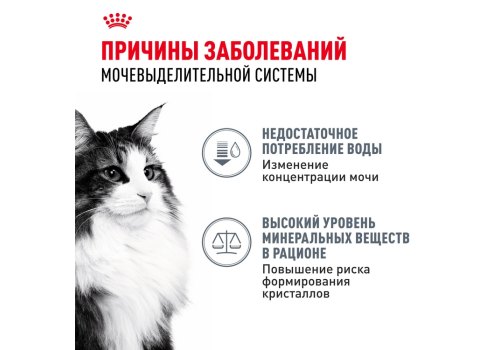 Royal Canin Urinary Care / Сухой корм Роял Канин Уринари Кэа для кошек Профилактика Мочекаменных болезней