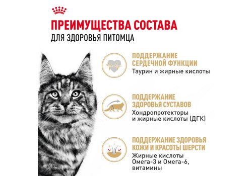 Royal Canin Breed cat Maine Coon / Влажный корм (Консервы-Паучи) Роял Канин для кошек породы Мэйн Кун
