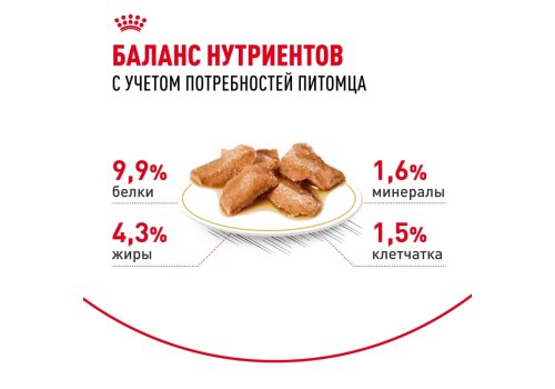 Royal Canin Breed cat Maine Coon / Влажный корм (Консервы-Паучи) Роял Канин для кошек породы Мэйн Кун