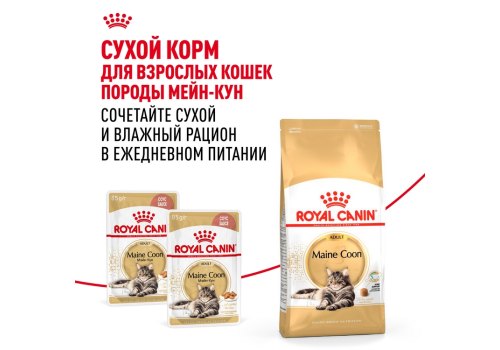 Royal Canin Breed cat Maine Coon / Влажный корм (Консервы-Паучи) Роял Канин для кошек породы Мэйн Кун