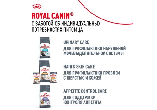 Royal Canin Breed cat Maine Coon / Влажный корм (Консервы-Паучи) Роял Канин для кошек породы Мэйн Кун