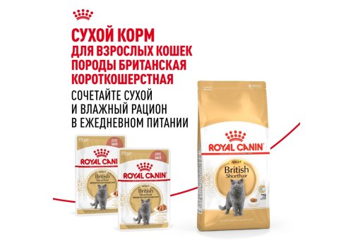Royal Canin Breed cat British Shorthair / Влажный корм (Консервы-Паучи) Роял Канин для кошек породы Британская короткошерстная