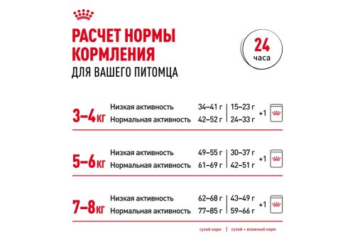 Royal Canin Breed cat British Shorthair / Влажный корм (Консервы-Паучи) Роял Канин для кошек породы Британская короткошерстная