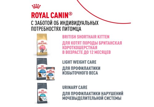 Royal Canin Breed cat British Shorthair / Влажный корм (Консервы-Паучи) Роял Канин для кошек породы Британская короткошерстная