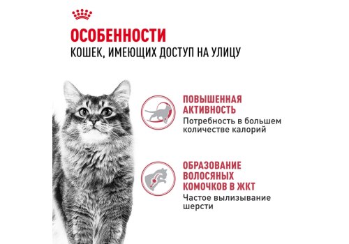 Royal Canin Fit / Сухой корм Роял Канин Фит для Взрослых кошек в возрасте от 1 года до 7 лет