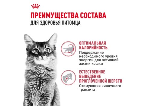 Royal Canin Fit / Сухой корм Роял Канин Фит для Взрослых кошек в возрасте от 1 года до 7 лет