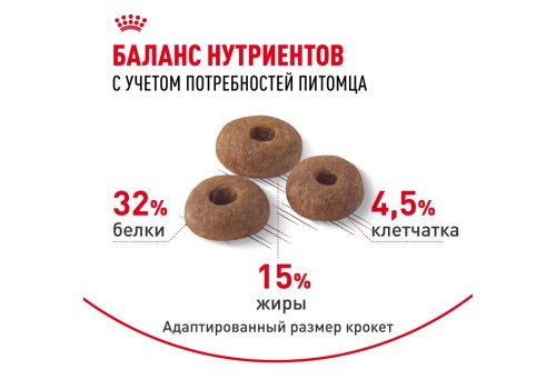 Royal Canin Fit / Сухой корм Роял Канин Фит для Взрослых кошек в возрасте от 1 года до 7 лет