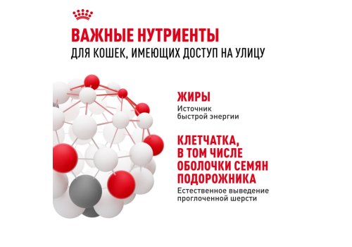 Royal Canin Fit / Сухой корм Роял Канин Фит для Взрослых кошек в возрасте от 1 года до 7 лет