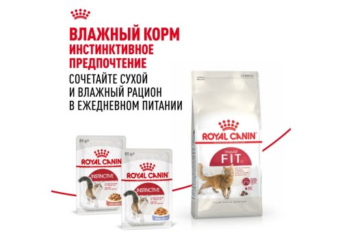 Royal Canin Fit / Сухой корм Роял Канин Фит для Взрослых кошек в возрасте от 1 года до 7 лет