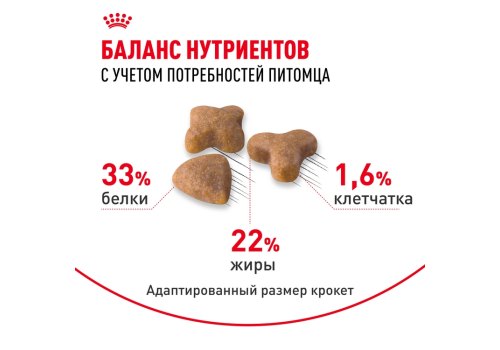 Royal Canin Sensible / Сухой корм Роял Канин Сенсибл для кошек с Чувствительным пищеварением