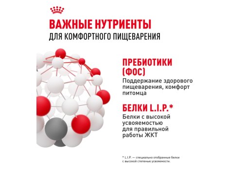 Royal Canin Sensible / Сухой корм Роял Канин Сенсибл для кошек с Чувствительным пищеварением