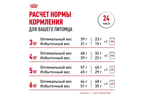 Royal Canin Sensible / Сухой корм Роял Канин Сенсибл для кошек с Чувствительным пищеварением
