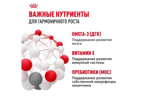 Royal Canin Kitten / Сухой корм Роял Канин Киттен для Котят в возрасте от 4 до 12 месяцев