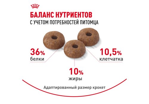 Royal Canin Light Weight Care / Сухой корм Роял Канин Лайт Вейт Кэа для кошек Низкокалорийный (профилактика избыточного веса)