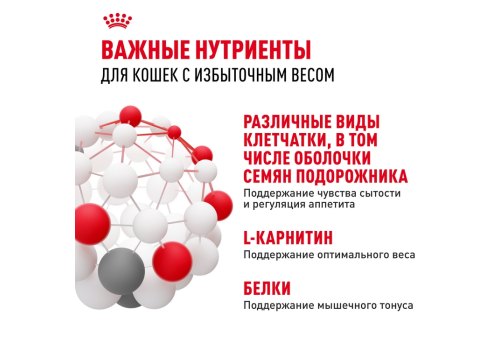 Royal Canin Light Weight Care / Сухой корм Роял Канин Лайт Вейт Кэа для кошек Низкокалорийный (профилактика избыточного веса)