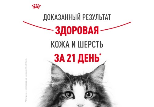Royal Canin Hair & Skin Care / Сухой корм Роял Канин Хэйр & Скин Кэа для кошек Здоровая кожа и шерсть