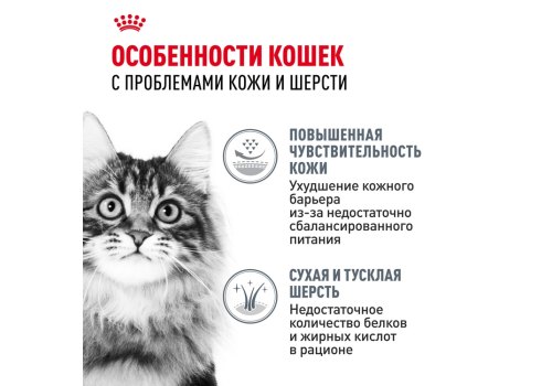 Royal Canin Hair & Skin Care / Сухой корм Роял Канин Хэйр & Скин Кэа для кошек Здоровая кожа и шерсть