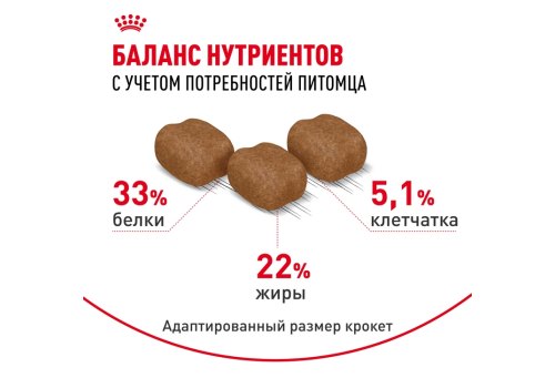Royal Canin Hair & Skin Care / Сухой корм Роял Канин Хэйр & Скин Кэа для кошек Здоровая кожа и шерсть
