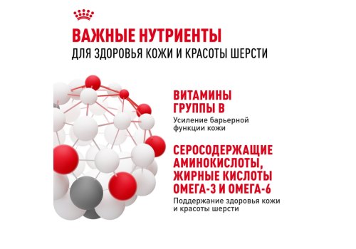 Royal Canin Hair & Skin Care / Сухой корм Роял Канин Хэйр & Скин Кэа для кошек Здоровая кожа и шерсть