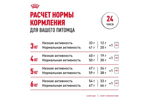 Royal Canin Hair & Skin Care / Сухой корм Роял Канин Хэйр & Скин Кэа для кошек Здоровая кожа и шерсть