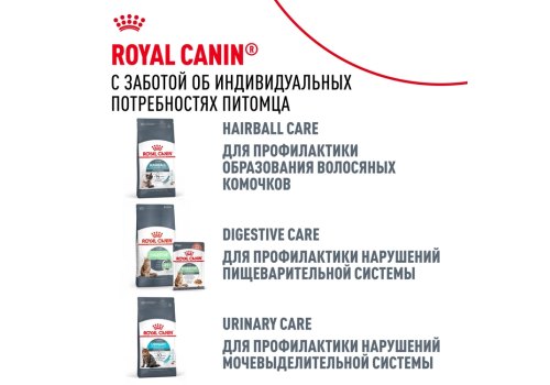 Royal Canin Hair & Skin Care / Сухой корм Роял Канин Хэйр & Скин Кэа для кошек Здоровая кожа и шерсть