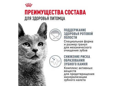 Royal Canin Dental Care / Сухой корм Роял Канин Дентал Кэа для кошек Уход за полостью рта Чистка зубов