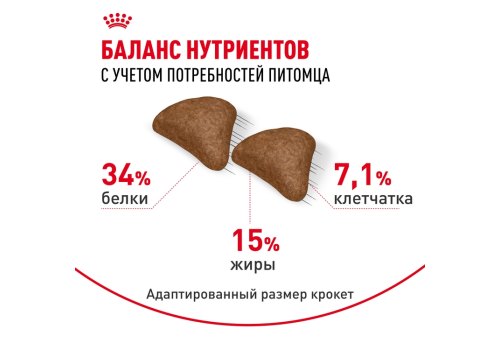 Royal Canin Hairball Care / Сухой корм Роял Канин Хэйрбол Кэа для кошек Вывод волосяных комочков