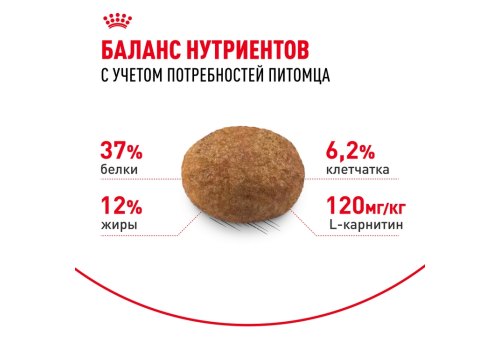 Royal Canin Sterilised / Сухой корм Роял Канин Стерилайзд для взрослых Кастрированных котов и Стерилизованных кошек в возрасте от 1 года до 7 лет