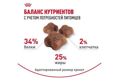 Royal Canin Mother & Babycat / Сухой корм Роял Канин Бэйбикэт для Котят в возрасте от 1 до 4 месяцев