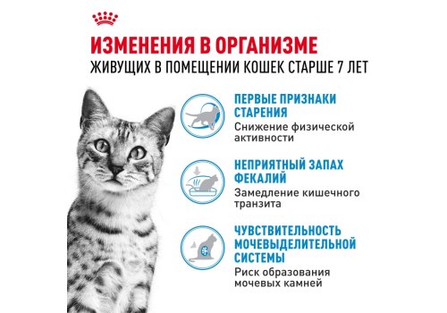 Royal Canin Indoor 7+ / Сухой корм Роял Канин Индор для Пожилых кошек старше 7 лет Живущих в помещении