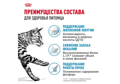 Royal Canin Indoor 7+ / Сухой корм Роял Канин Индор для Пожилых кошек старше 7 лет Живущих в помещении