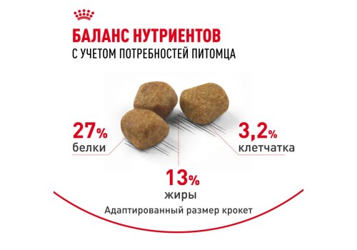 Royal Canin Indoor 7+ / Сухой корм Роял Канин Индор для Пожилых кошек старше 7 лет Живущих в помещении