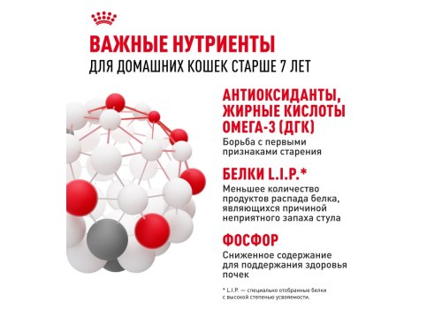 Royal Canin Indoor 7+ / Сухой корм Роял Канин Индор для Пожилых кошек старше 7 лет Живущих в помещении