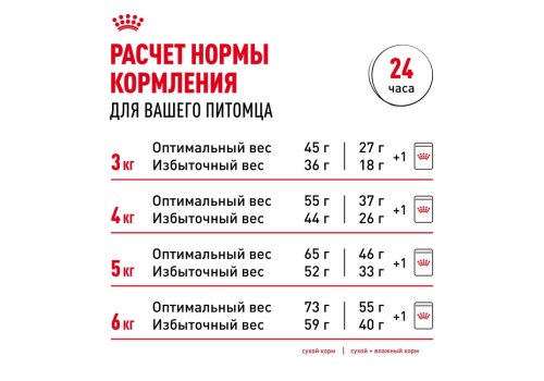 Royal Canin Indoor 7+ / Сухой корм Роял Канин Индор для Пожилых кошек старше 7 лет Живущих в помещении