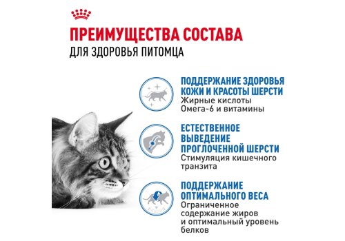 Royal Canin Indoor Long Hair / Сухой корм Роял Канин Индор Лонг Хэйр для Длинношерстных кошек Живущих в помещении