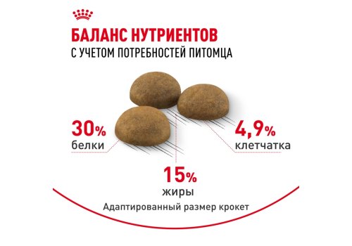 Royal Canin Indoor Long Hair / Сухой корм Роял Канин Индор Лонг Хэйр для Длинношерстных кошек Живущих в помещении